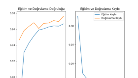 makine öğrenmesi projelerinizi yapabilirim