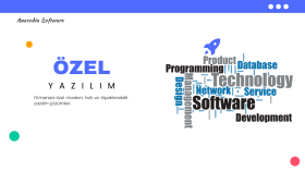 özel yazılım geliştirme hizmeti sunarım