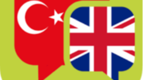İngilizce-Türkçe profesyonel çeviri yapıyorum