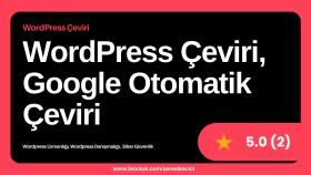 wordpress sitenizin çevirisi ve çeviri problemlerini yaparım