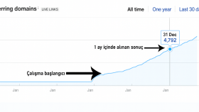 Backlink Satın Alma Hizmeti