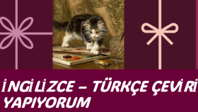 yazı ve metinlerinizi çeviririm
