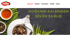 sizin için dilediğiniz şekilde web sitesi oluşturabilirim