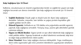 sizin için tamamen özgün makaleler yazıyorum