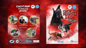 Sosyal Medya Tasarımları