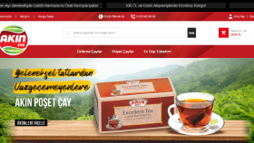 Concept Site Tasarımı