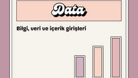 sizler için veri girişi yapabilirim