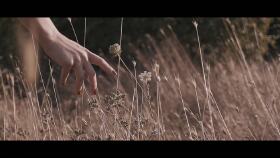 Müzik Klip Teaser