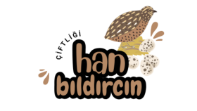 markanız için logo tasarlayabilirim