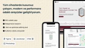 web projeni projesyonel şekilde geliştiririm