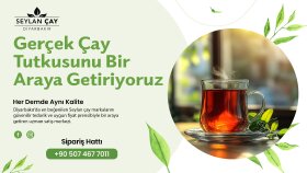 Banner Tasarımları