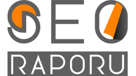 Google Seo Analizi Raporu