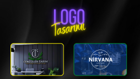logo tasarımı yapıyorum