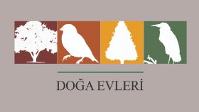 Doğa Evleri - Yaratıcı logo tasarımı - 2024