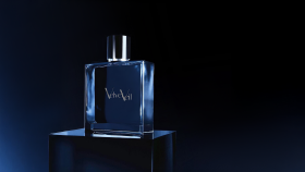 Velvet Veil – Zarif ve Modern Logo Tasarımı