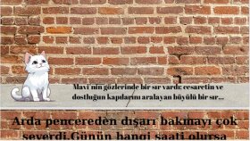 özgün kısa hikayeler yazıyorum
