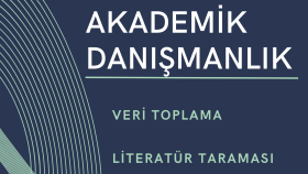 istediğiniz konuda literatür taraması yapabilirim