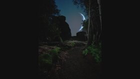 Gece Ormanda Yürüyüş - Unreal Engine 5