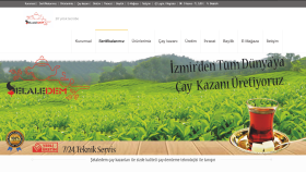 selaledem.com firması için yaptığımız E-ticaret sitesi