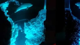 Ben slow melodiler üzerine şarkı sözü yazarım