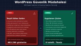 WordPress SEO Spam Temizliği - Cloaking Saldırısı Müdahalesi