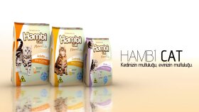 HambiCat Reklam Çalışması
