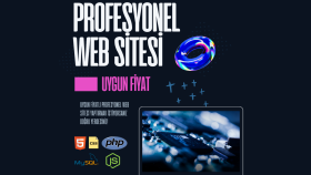 profesyonel şekilde teslime hazır web sitesi yaparım