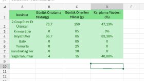 Excel veri girişi ve liste tablo düzenlemesi yaparım