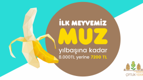 İş örneğim