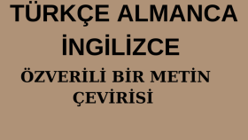 metinlerinizi İngilizce, Almanca, Türkçe tercüme edebilirim