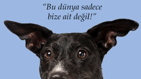 özel gün story