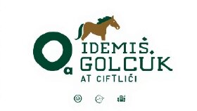 Hayalini Anlat Çizeyim 