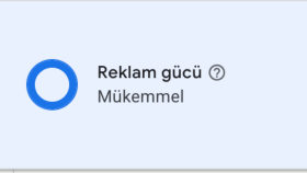 Google Ads Optimizasyon ve Reklam Gücü Yönetimi