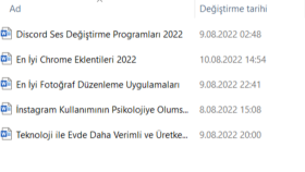Örnekler
