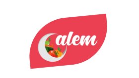 Alem Market