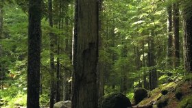 Doğanın Sesi: Eşsiz Manzaralar ve Huzur
