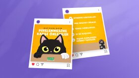Animal Social Media Post Design