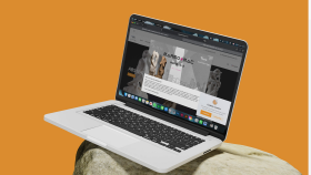 ABS NATURAL STONE WEB BANNER