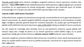 Seo ve LSI uyumlu içerikler