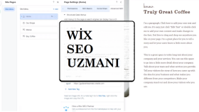 WİX SEO ayarlarınızı sağlayabilirim