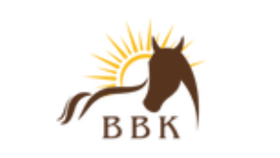 Binicilik Kulübü konsept logo tasarımı