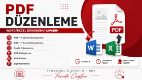 Profesyonel PDF Düzenleme ve Word/Excel Dönüştürme