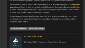 SEO Uyumlu Tanıtım Yazısı