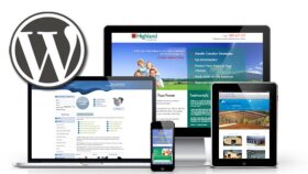 SEO ve Mobil Uyumlu Dinamik Web Sitesi