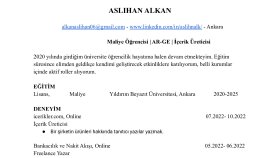 ATS Uyumlu CV