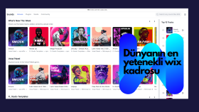 Wix site responsive ayarınızı ve düzenlemesini apabilirim