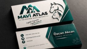 Profesyonel Kartvizit Tasarımları