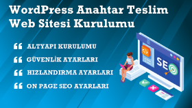 sizin için orta düzey wordpress web sitesi yaparım