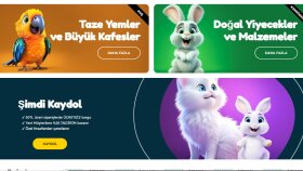 petshop kategori