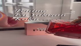 Parfüm Ugc